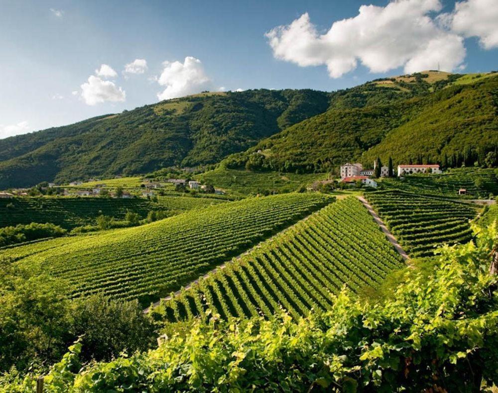 Follinetta10 - Enjoy Holiday Home In The Prosecco Hills Follina Buitenkant foto