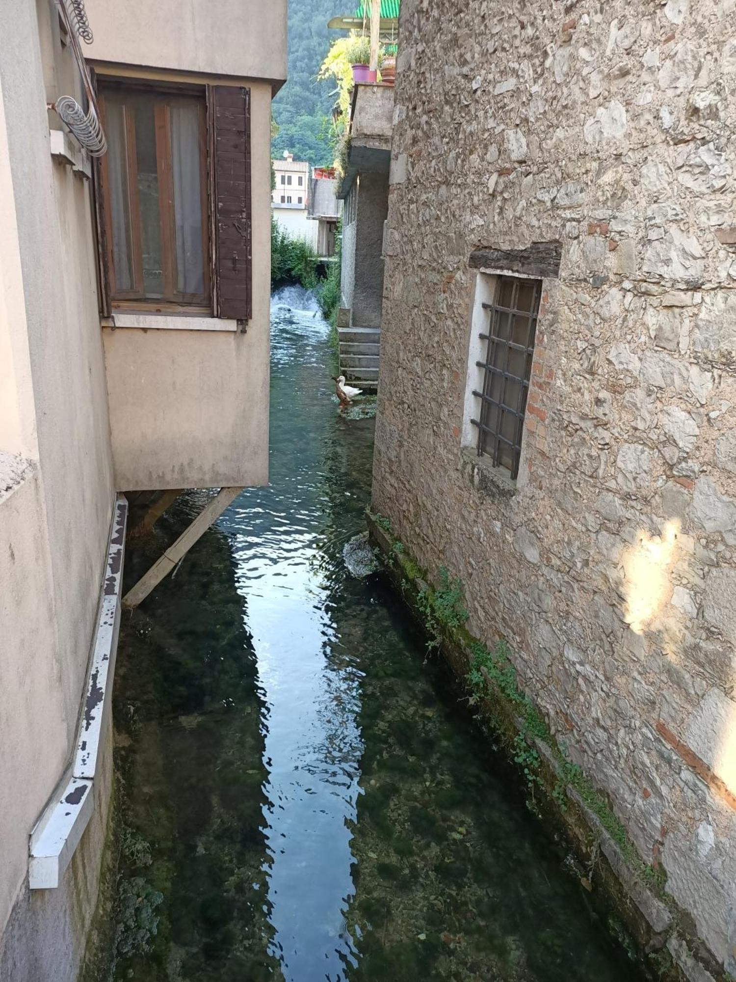 Follinetta10 - Enjoy Holiday Home In The Prosecco Hills Follina Buitenkant foto